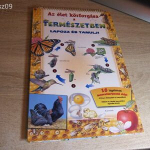 Az Élet Körforgása a Természetben // Lapozz és Tanulj!