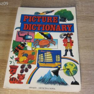 Picture Dictionary // Elizabeth Goodacre