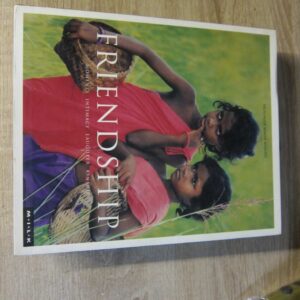 Hodder: Friendship - Moments Intimacy Laughter Kinship - könyv